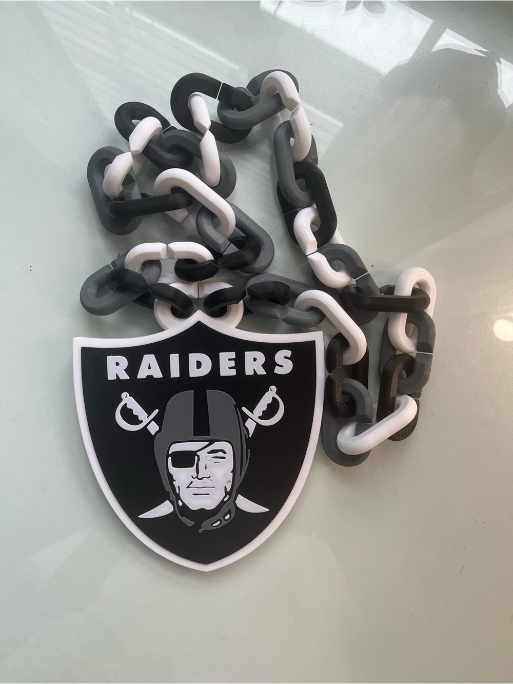 Raiders Black & White Chain Necklace - Team Logo Pendant
